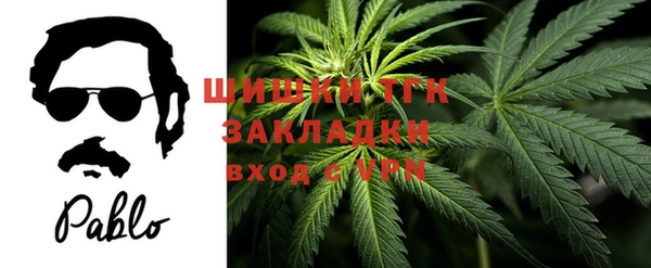 дмт Ладушкин