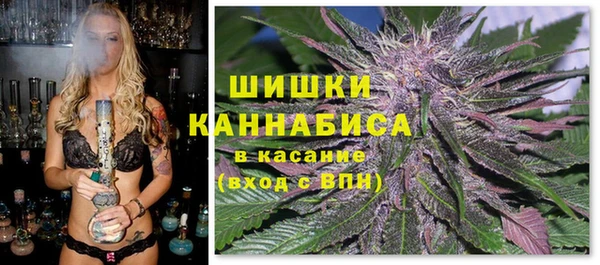 дмт Ладушкин