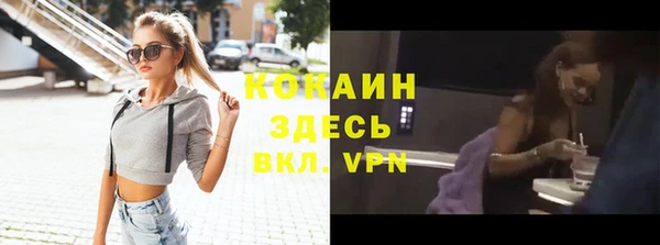 дмт Ладушкин