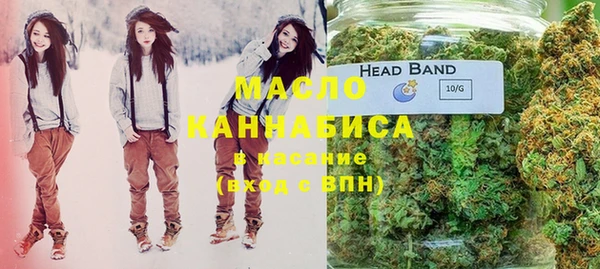крисы Лабытнанги