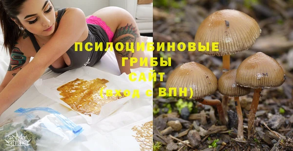 дмт Ладушкин