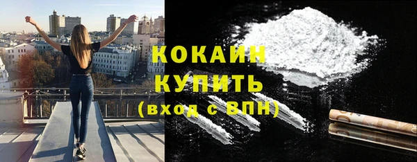 дмт Ладушкин