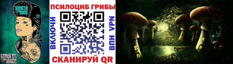 Псилоцибиновые грибы Psilocybine cubensis  Черноголовка 