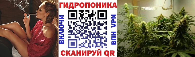 МАРИХУАНА ГИДРОПОН  Черноголовка 